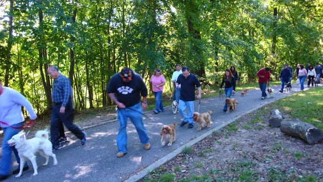 Anthony Jerone's School Of Dog Training & Career Inc.