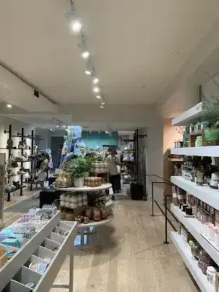 Anthropologie
