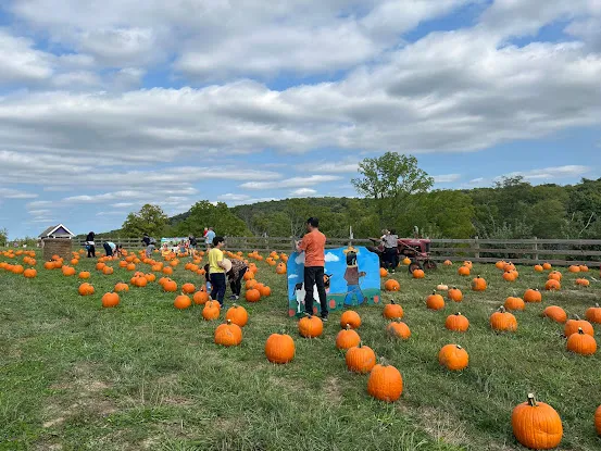 Apple Ridge Orchards