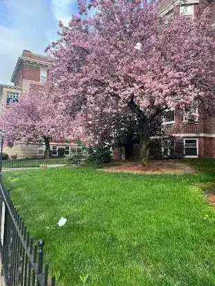 Applied Housing Management