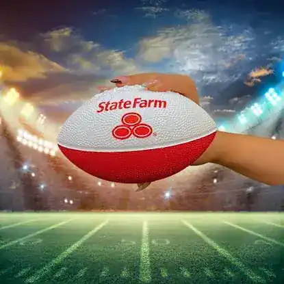 Ardit Bita - State Farm Insurance Agent