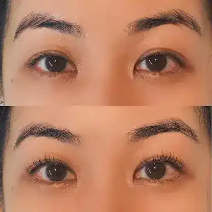 Ari lash