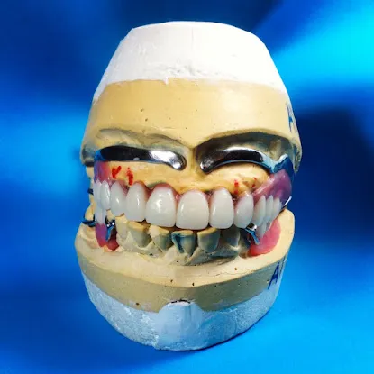 Ariana Dental Lab Inc.