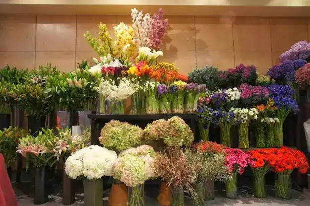 Ariston Floral Boutique