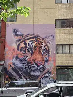 Art Observed