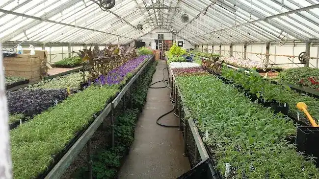 Arthur Ross Nursery