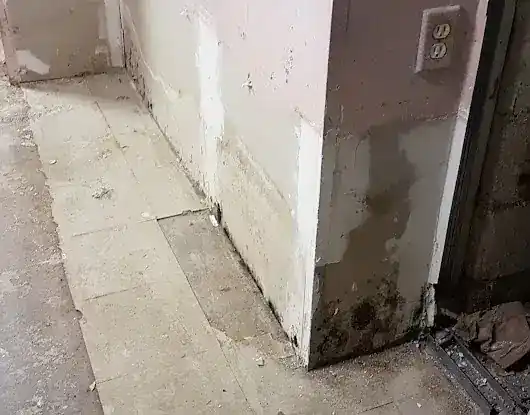 ASAP Restoration | Fire & Water Damage Cleanup