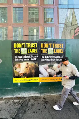 ASPCA