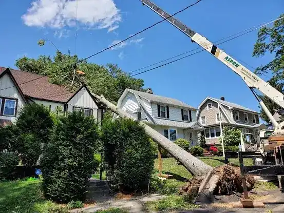 Aspen Tree Services Inc.