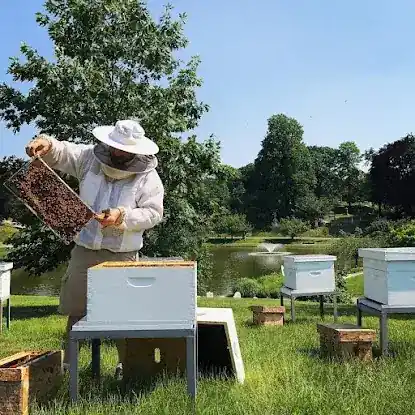 Astor Apiaries