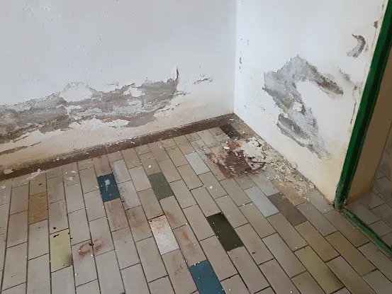 Astoria Fire and Water Damage Restoration