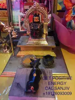 ASTROLOGER SANJIVRAM