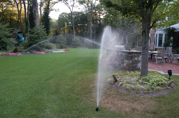 Automatic Irrigation Design