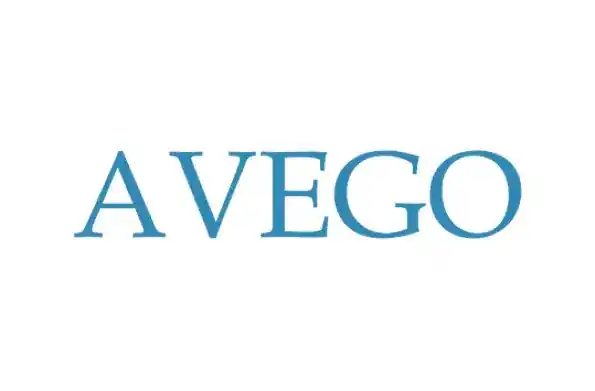 Avego Management