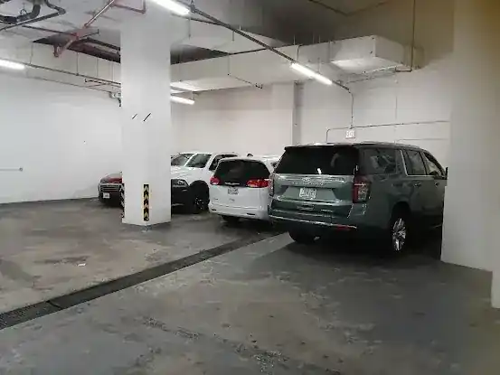 Avis Car Rental
