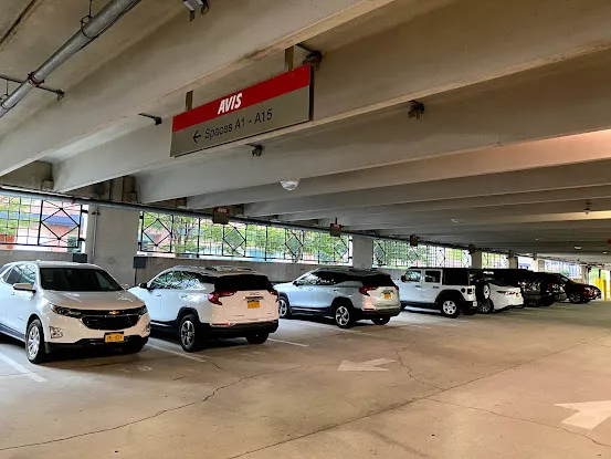 Avis Car Rental