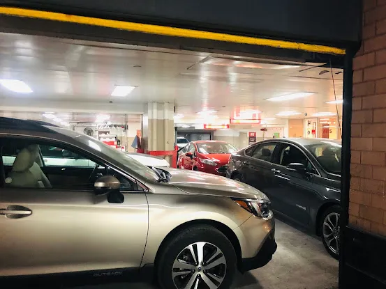 Avis Car Rental