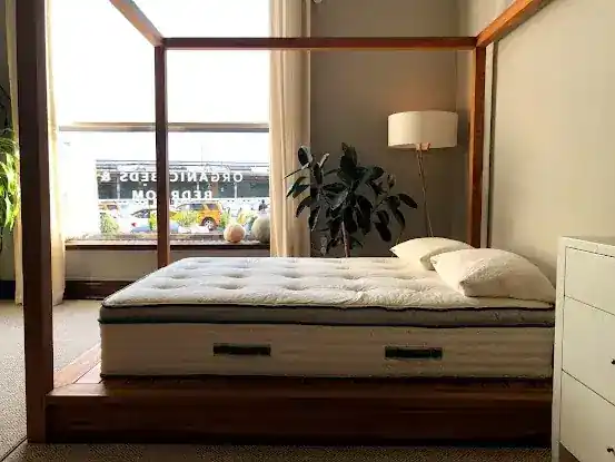 Avocado Green Mattress - Natural & Organic Mattresses - Hoboken
