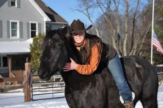AW Perfomance Horses