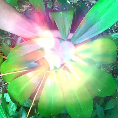 Awakening Vibration - Reiki Healing