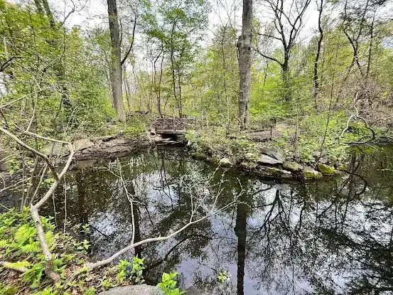 Azalea Pond