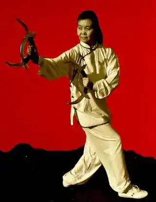 Ba Gua Zhang New York 八 卦 掌