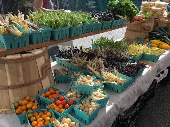 Back Home Organic Farm - Union Square