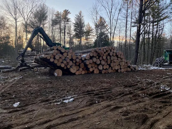 Baker Logging