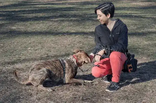 Balanced Pack Training NYC