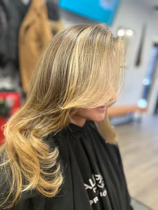 Balayage Bliss