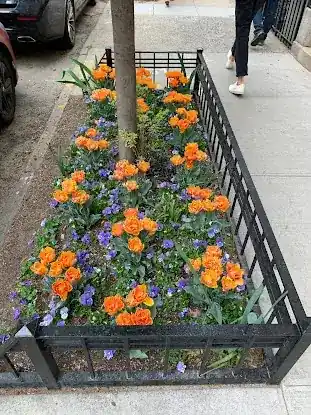 Barksdale Gardens