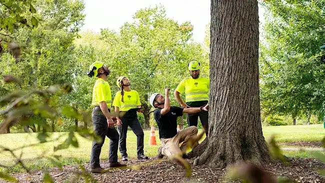 Bartlett Tree Experts