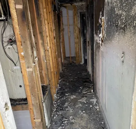 BAS Mold Removal NYC