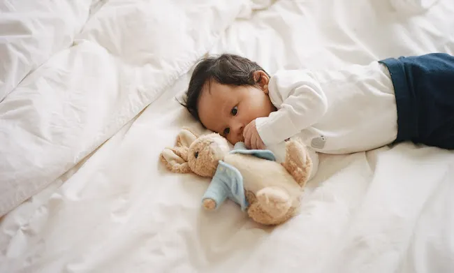 Batelle Inc - Sleep School