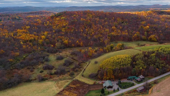 BattenKill Farms