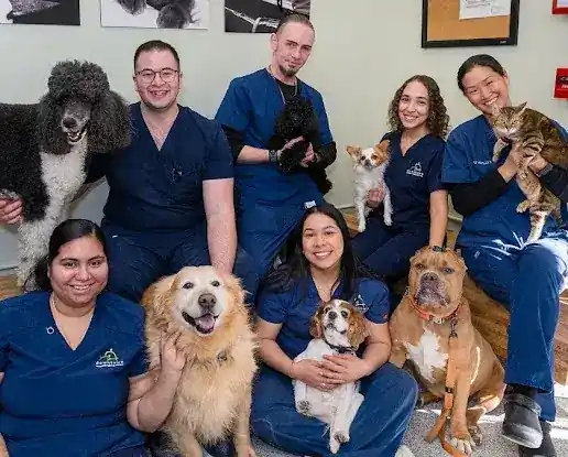 Battery Park Veterinary Hospital