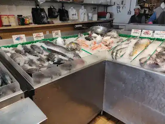 Bayonne Fish Store