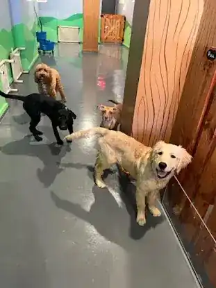 BB's PLAYHOUSE