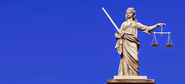 BCG Attorney Search