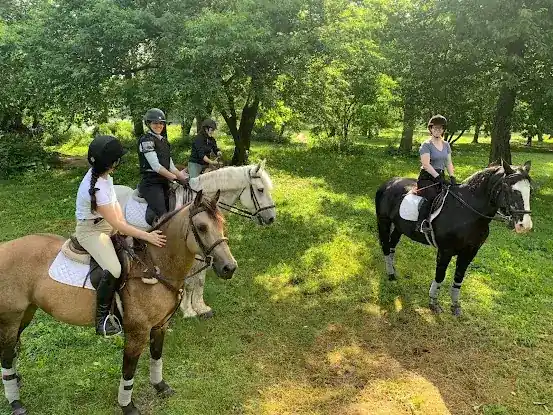 Be • Brooklyn equine at Prospect Park Stable