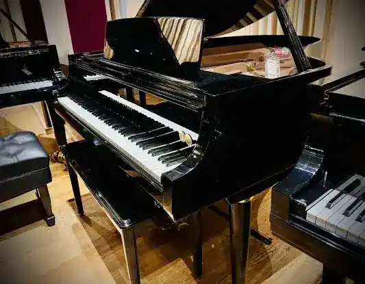 Beethoven Pianos