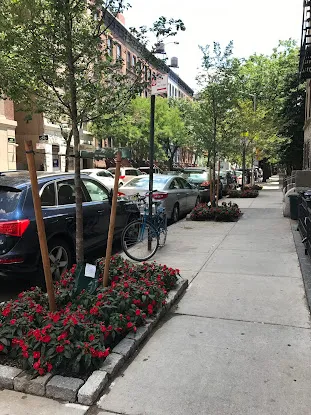 Bella Gardens
