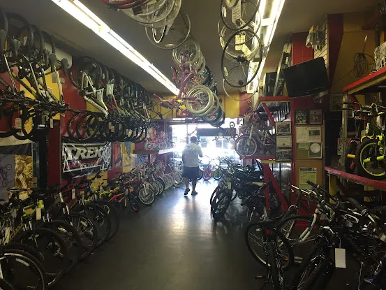 Bellitte Bicycles