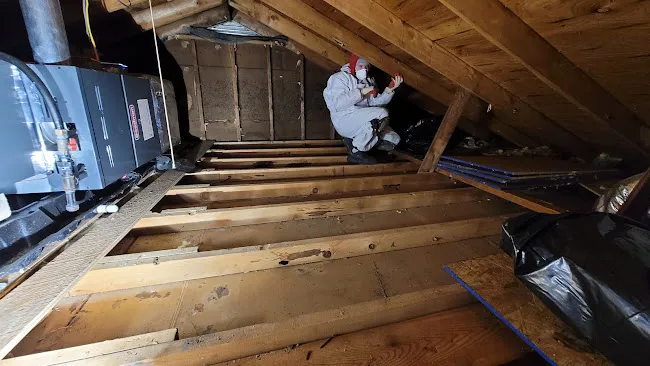 Better Home Insulation