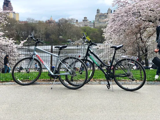 Bike Tours by Manual Pedal