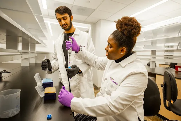 BioLabs@NYULangone