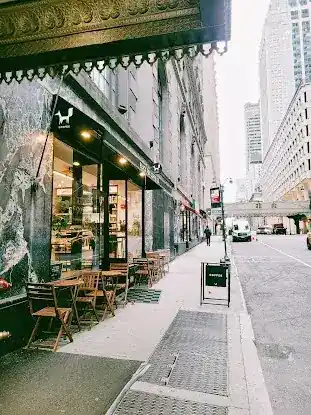 Black Fox Coffee