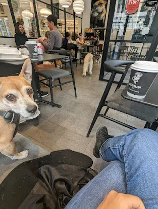 Black Lab Cafe