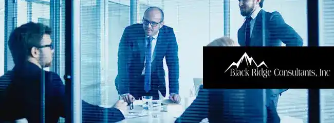 Black Ridge Consultants Inc.
