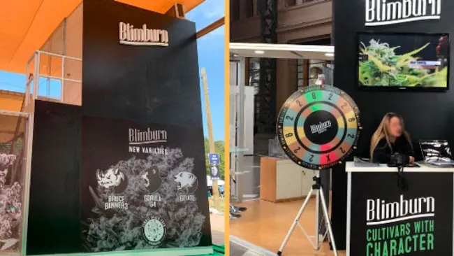 Blimburn Seeds